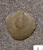 MPEP908-04