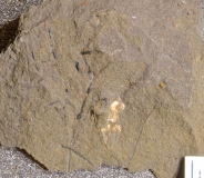 MPEP908-23
